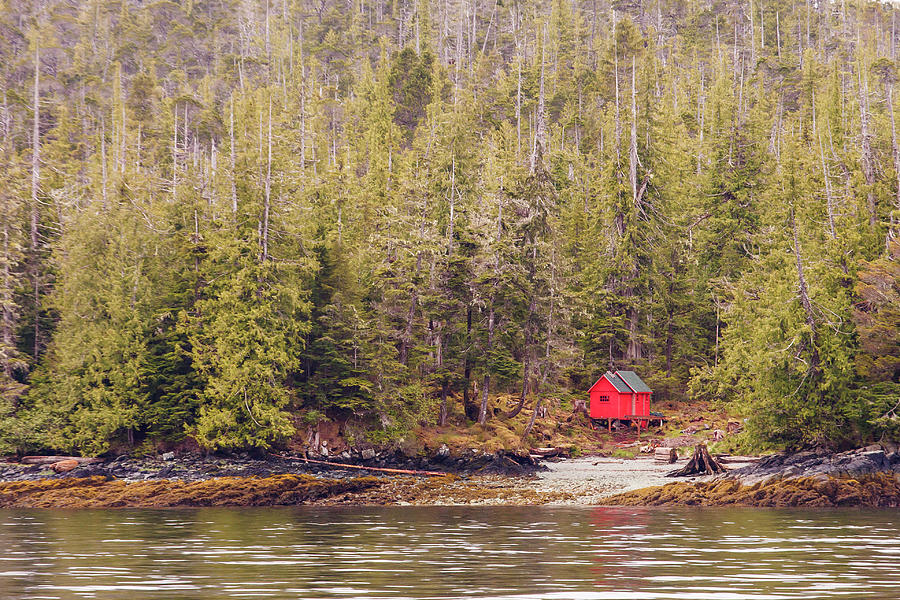 Red Cabin on Edge of Alaskan Waterway in Evergreen Forest Photograph by Darryl Brooks