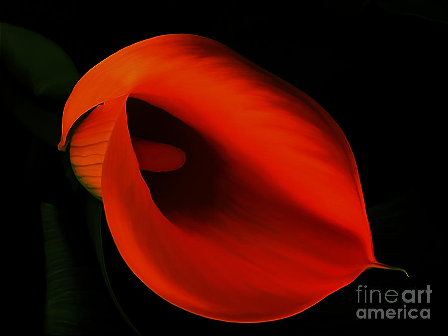 Animal Painting - Red Calla  by Gull G