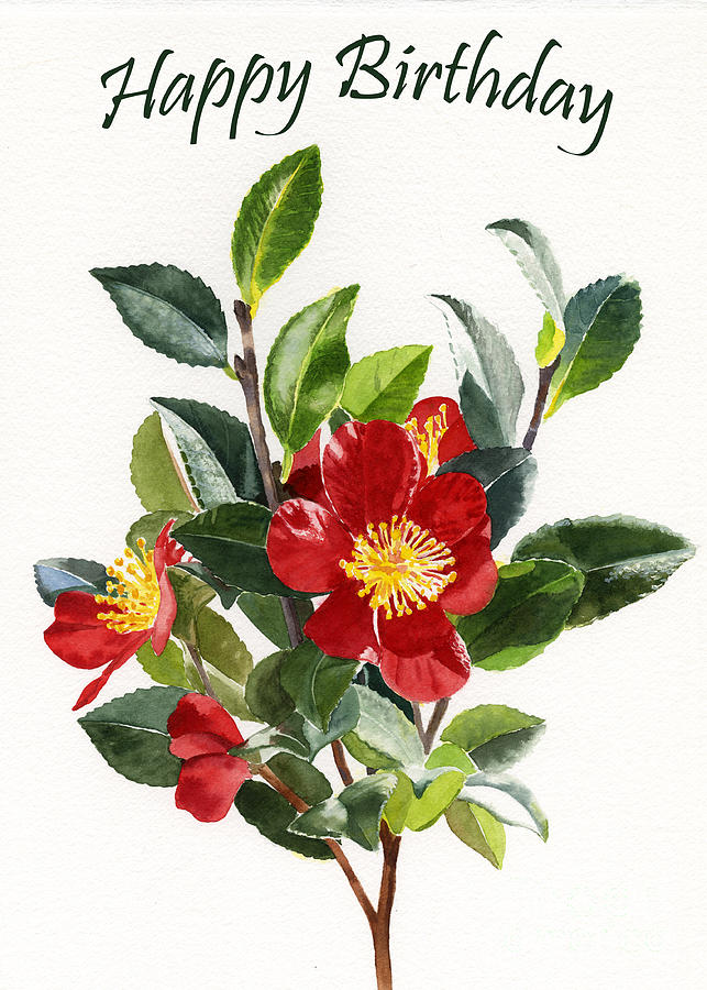 Flower Painting - Red Camellia Birthday Card 1 by Sharon Freeman