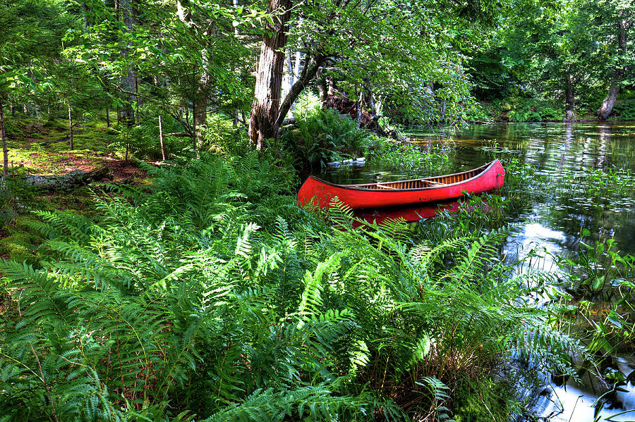 Red Canoe in the ADK Photograph by David Patterson