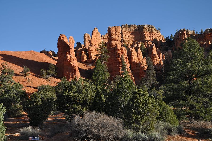 Red Canyon - Dixie National Forest Photograph by Frank Madia