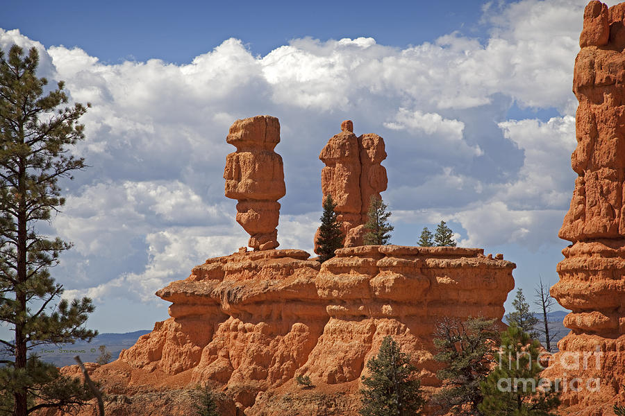 Red Canyon Hoodoos Photograph by Lone Palm Studio