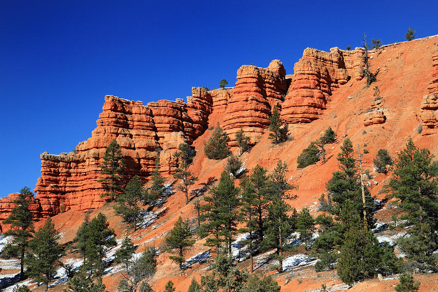 Mountain Photograph - Red Canyon Hoodoos by Pierre Leclerc Photography