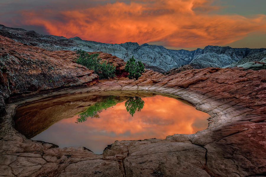 Red Canyon Reflection Photograph by Michael Ash