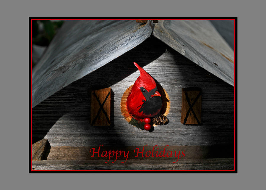 Red Cardinal Happy Holiday Greeting Card Photograph by Ginger Wakem