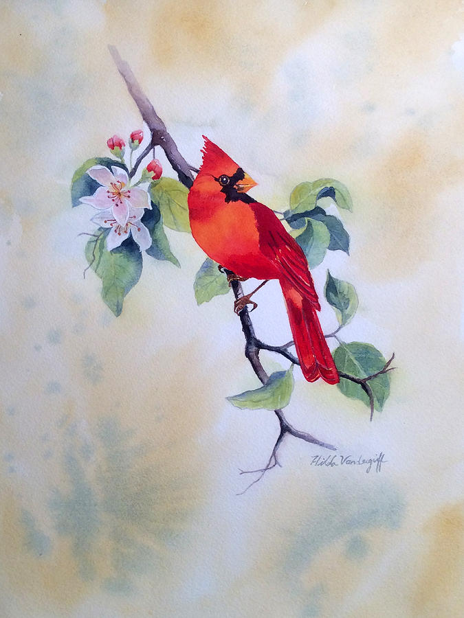 Red Cardinal  Painting by Hilda Vandergriff