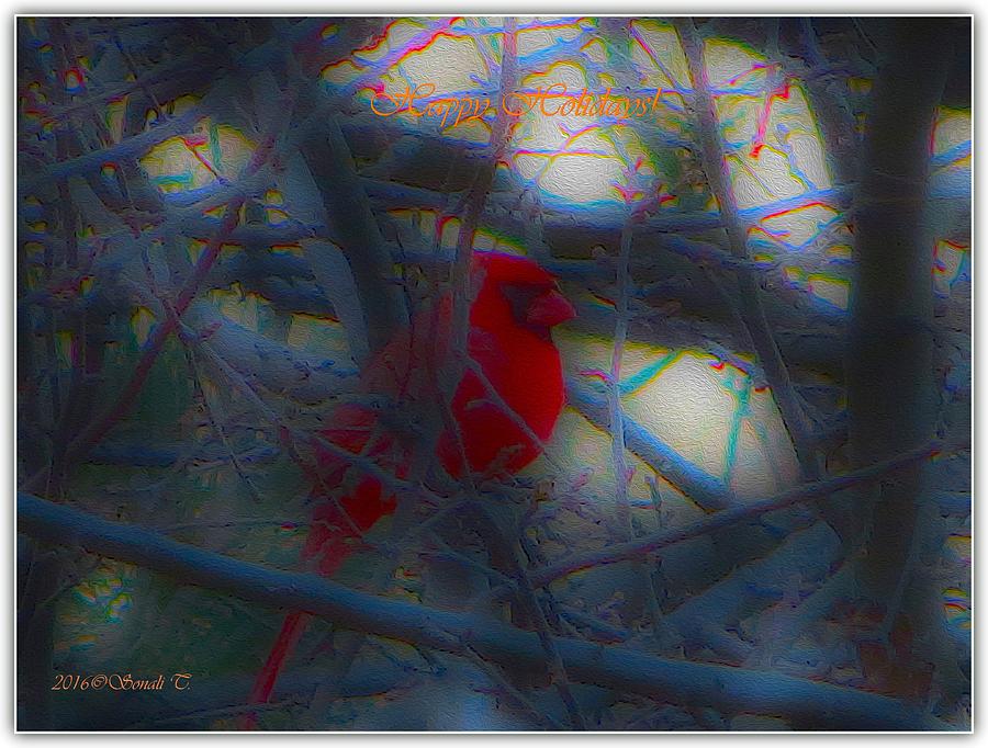 Red Cardinal Photograph by Sonali Gangane