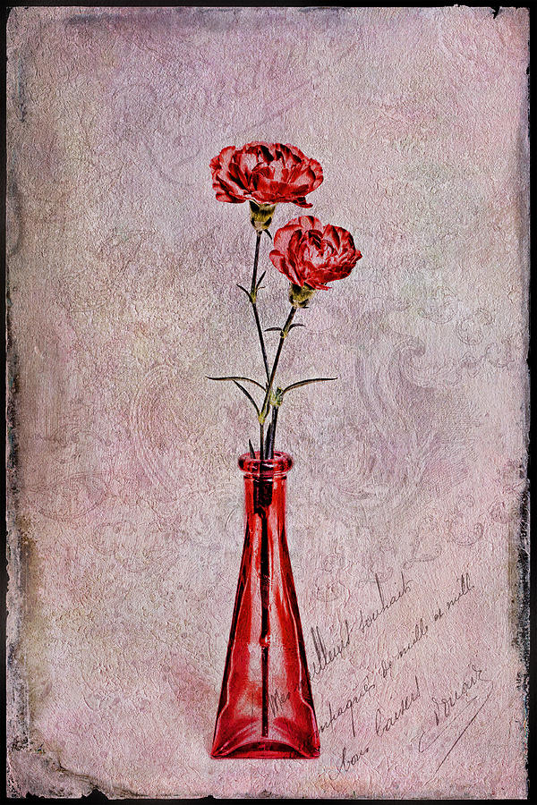 Red Carnations Digital Art by Michelle Whitmore