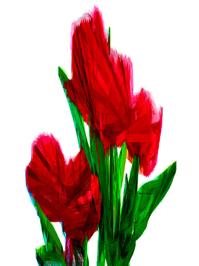 Red Carnations Digital Art by Rafael Salazar