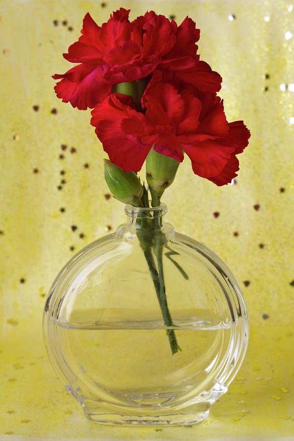 Red Carnations Still Life Photograph by Sandra Foster