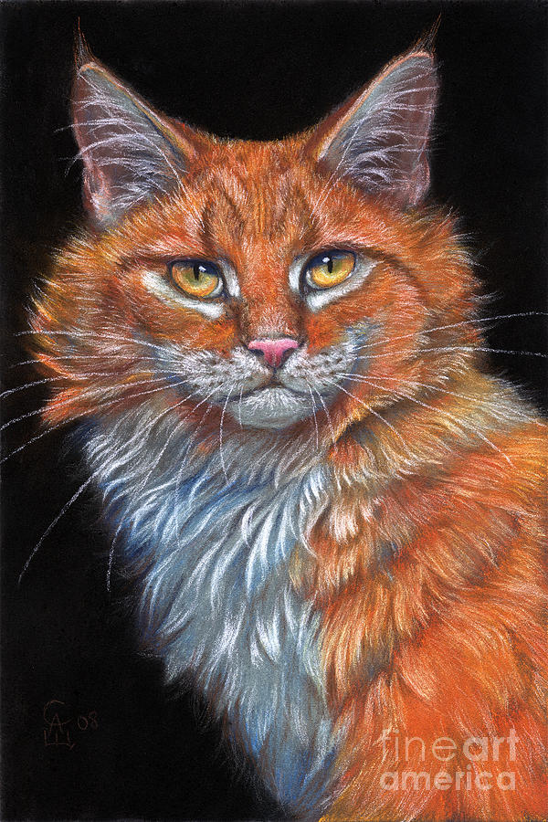 Red Cat Pastel by Svetlana Ledneva-Schukina