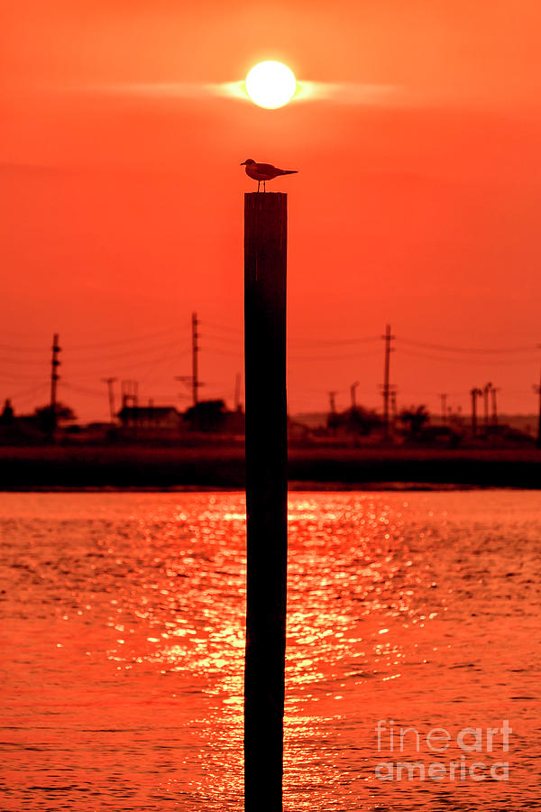 Red Center Sunset at Wildwood Photograph by John Rizzuto