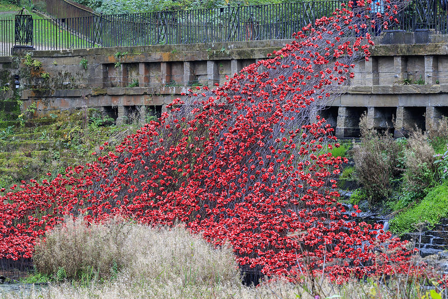 Red Ceramic Poppies  Photograph by Chris Smith
