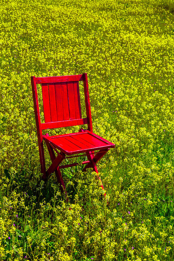 Red Chair Amoung Wildflowers Photograph by Garry Gay