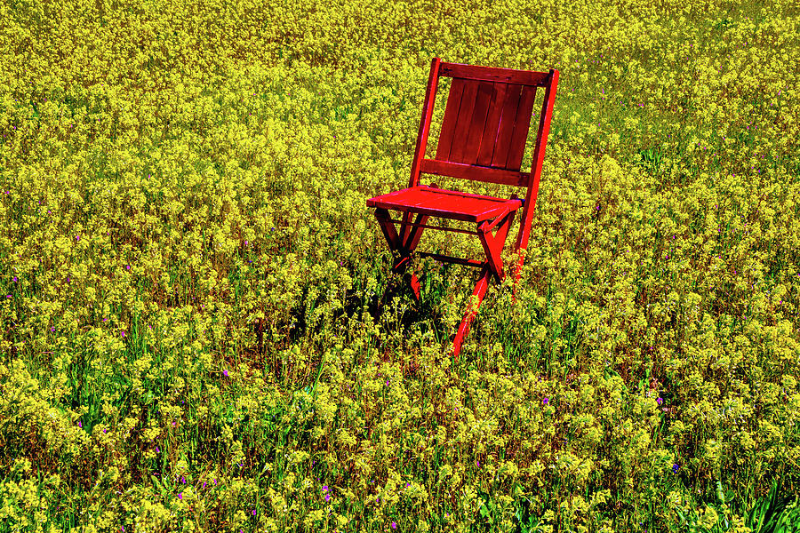 Red Chair In Firld Of Yellow Flowers Photograph by Garry Gay