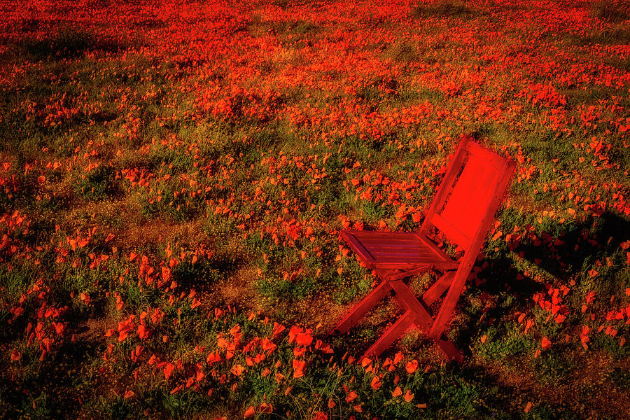 Red Chair In Poppy Field Photograph by Garry Gay