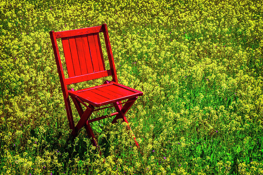Red Chair In Yellow Flowers Photograph by Garry Gay