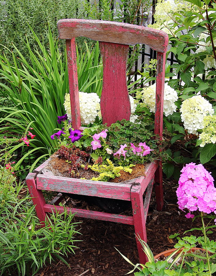 Red Chair Planter Photograph by Allen Nice-Webb