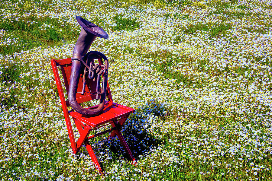 Red Chair With Old Horn Photograph by Garry Gay