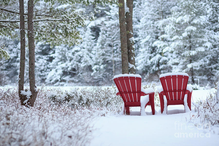 Red chairs in the snow Photograph by Edward Fielding
