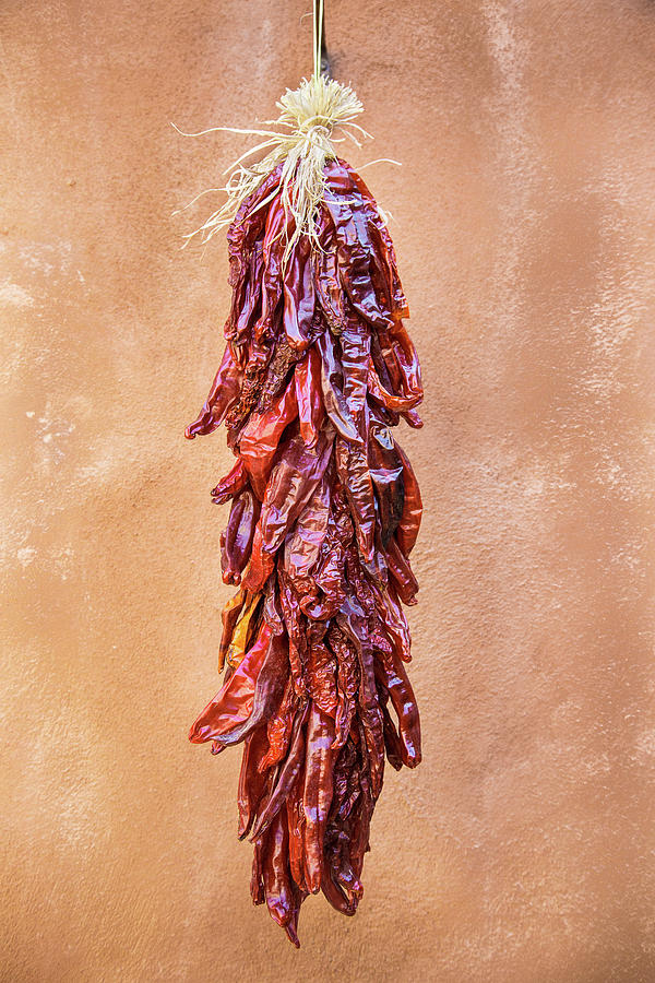 Red Chile Ristra Photograph by Steven Bateson
