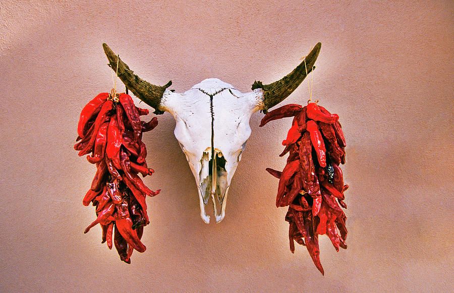 Red Chile Ristras On A Cow Skull In Santa Fe Photograph