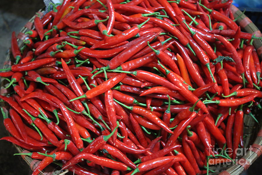Red Chili  Hanoi Market  Photograph by Chuck Kuhn