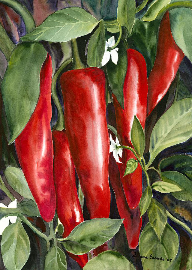 Red Chili Peppers Painting - Red Chili Peppers by Ileana Carreno
