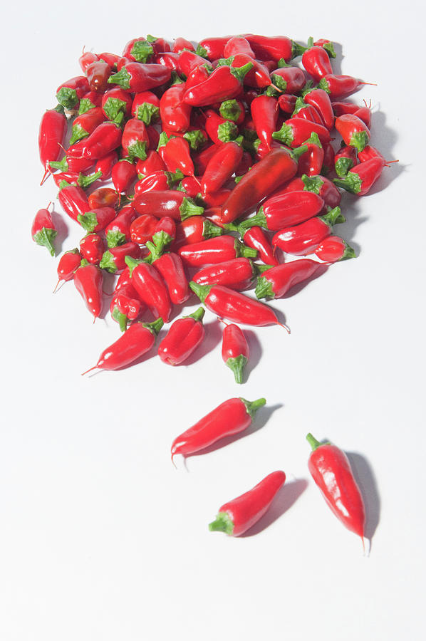 Red Chillies ii Photograph by Helen Jackson
