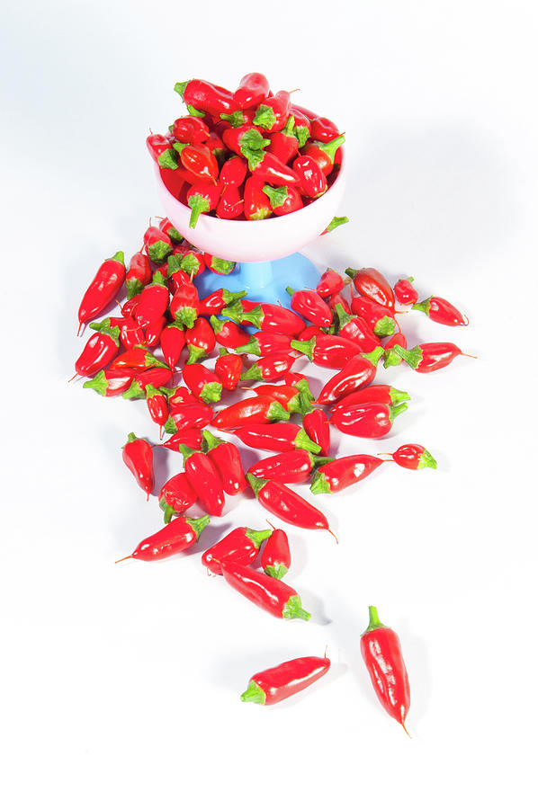 Red Chillies in a Bowl v Photograph by Helen Jackson