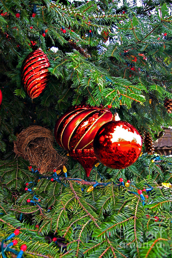 Christmas Photograph - Red Christmas Balls by Rich Walter