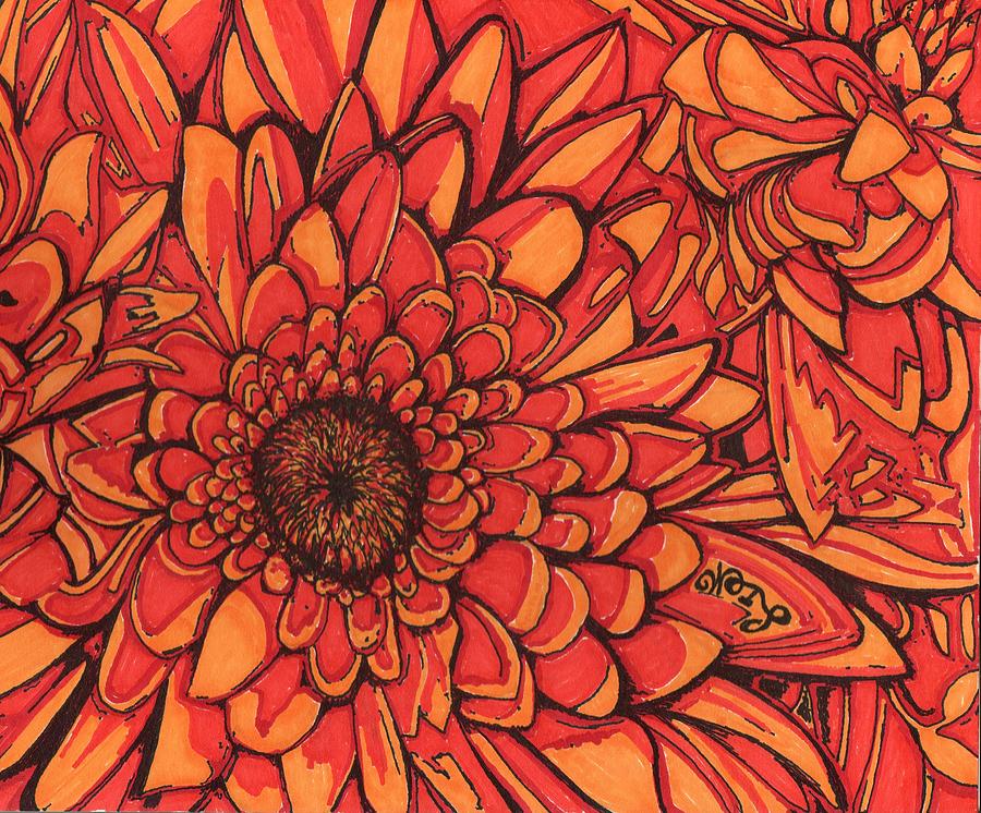 Red Chrysanthemum Drawing by Will Stevenson Fine Art America
