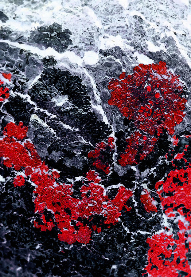 Abstract Painting - Red Cliff by Edouard Coleman
