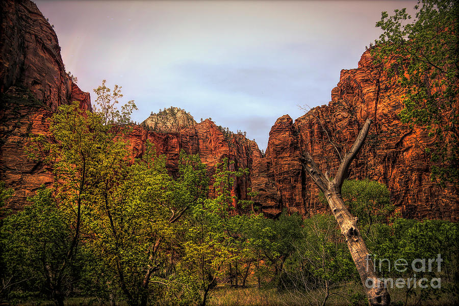 Red Cliffs Mountains Zion National Park Utah USA Photograph by Chuck Kuhn
