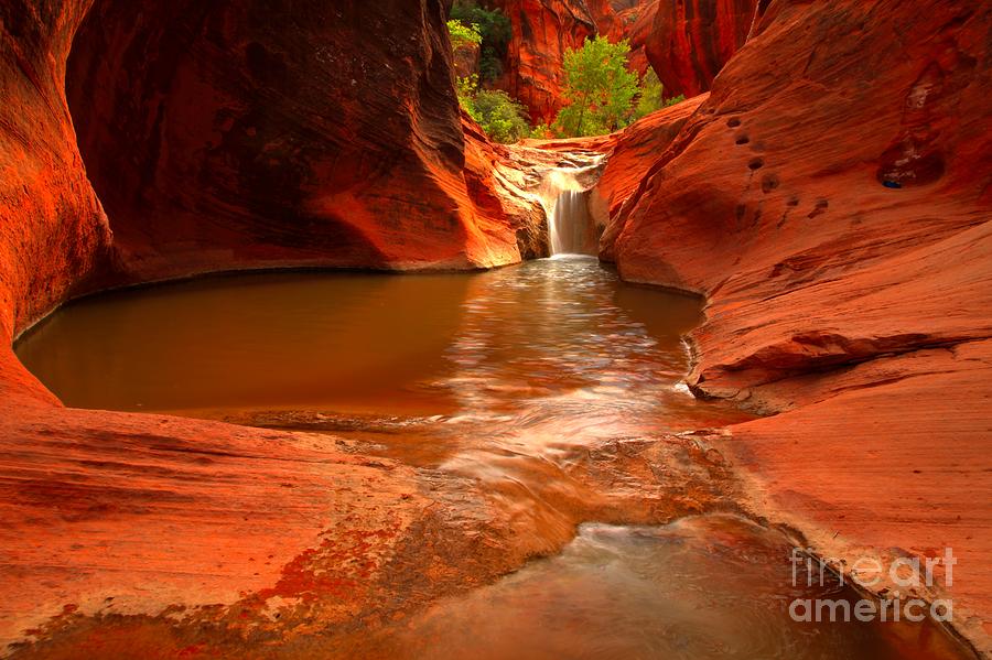 Red Cliffs Oasis Photograph by Adam Jewell