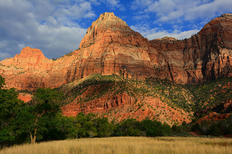 Red Cliffs of Zion Photograph by Raymond Salani III