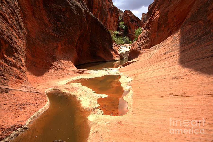 Red Cliffs Pools Photograph by Adam Jewell