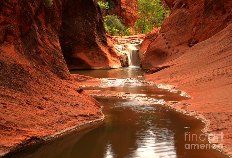Red Cliffs Waterfall Canyon Photograph by Adam Jewell