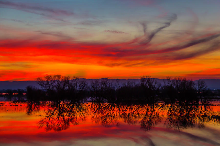 Red Clouds At Sunset Photograph by Garry Gay