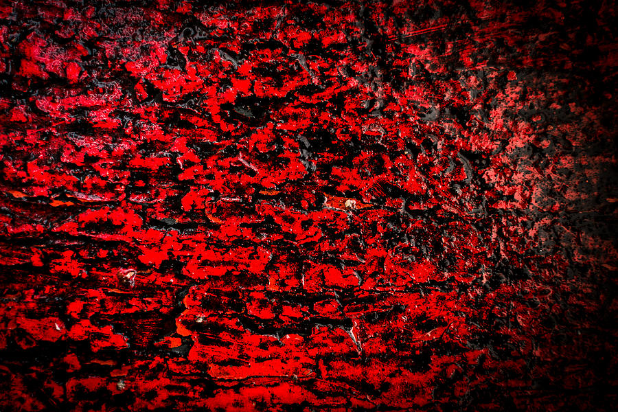 Red Color Abstract Wood and Rain Water Photograph by John Williams