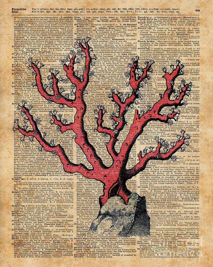 Animal Digital Art - Red Coral Vintage Illustration Dictionary Art by Anna W