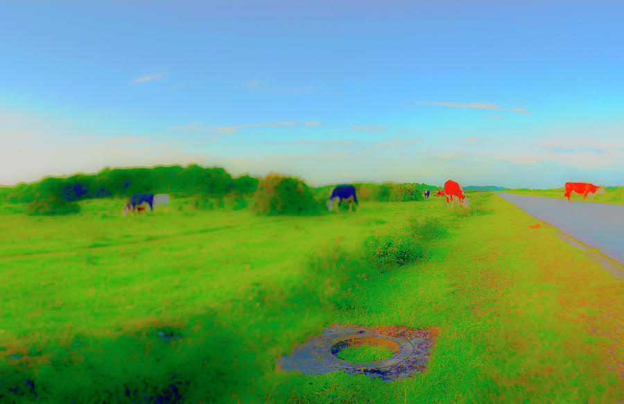 Red Cows Photograph by Jan W Faul