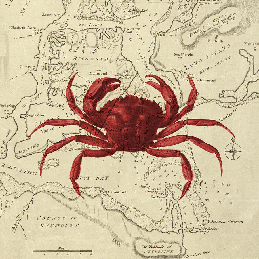 Red Crab Over Antique Sea Chart Digital Art by Erin Cadigan