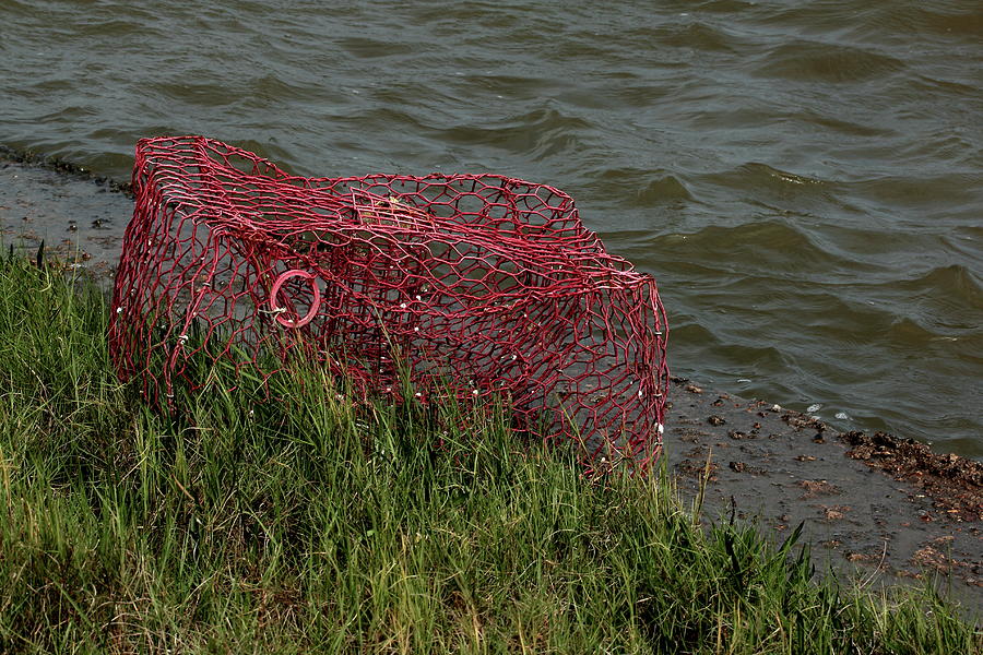 Red Crab Trap Photograph