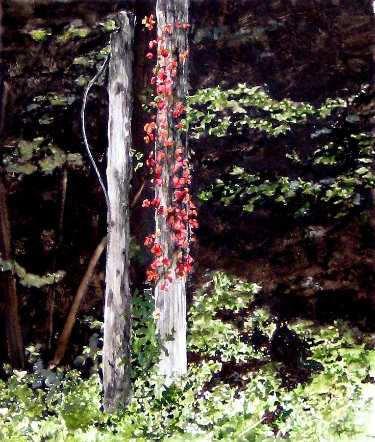 Virginia Creeper Painting - Red Creeper by Carla Dabney Virginia Creeper Painting - Red Creeper by Carla Dabney
