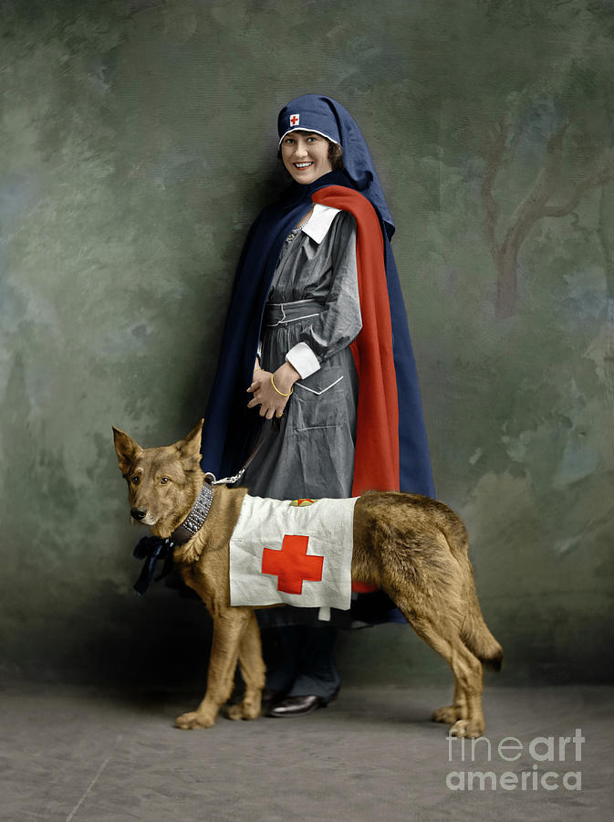 Red Cross Nurse Photograph by Granger