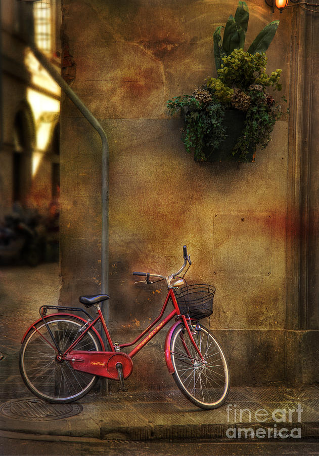 Red Crown Bicycle Photograph by Craig J Satterlee