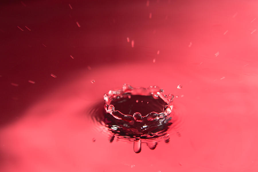 Red Crown Splash Photograph by SR Green