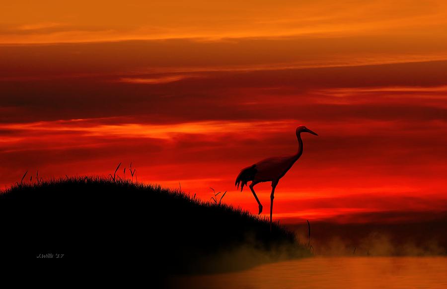 Red Crowned Crane at dusk Digital Art by John Wills