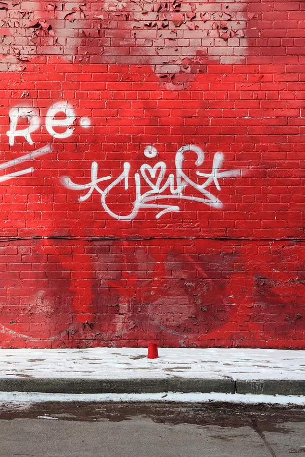 Red Cup Red Wall Photograph by Kreddible Trout